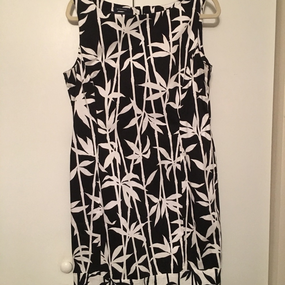 Jones of New York Sheath, Black and White